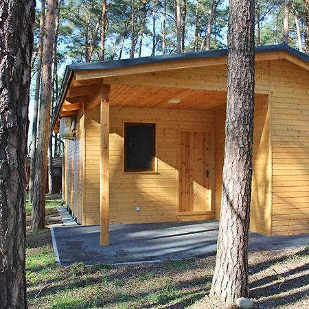 świerkowy Boszkowo