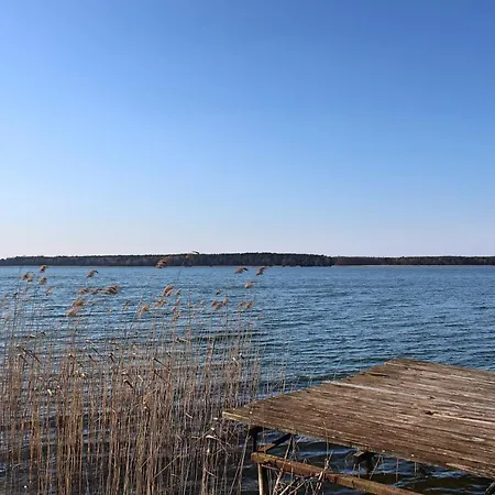 świerkowy
